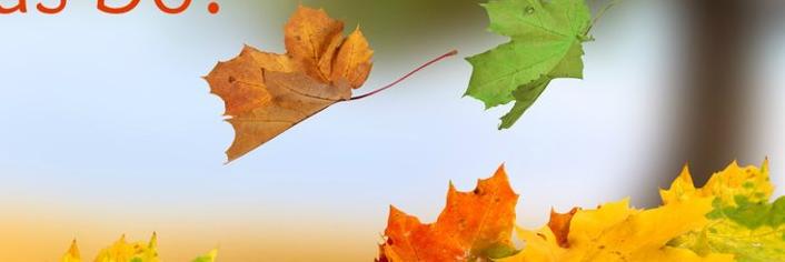 abiel_wilson's profile banner image