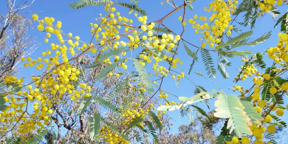 andiness ⚙️ banner