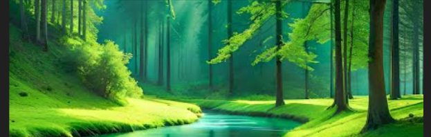 SacredForest777's profile banner image