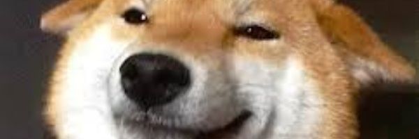 派派耶pie＜蹲在藍天＞ banner