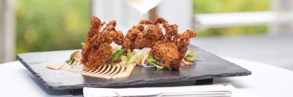 SalsaPD Profile Banner