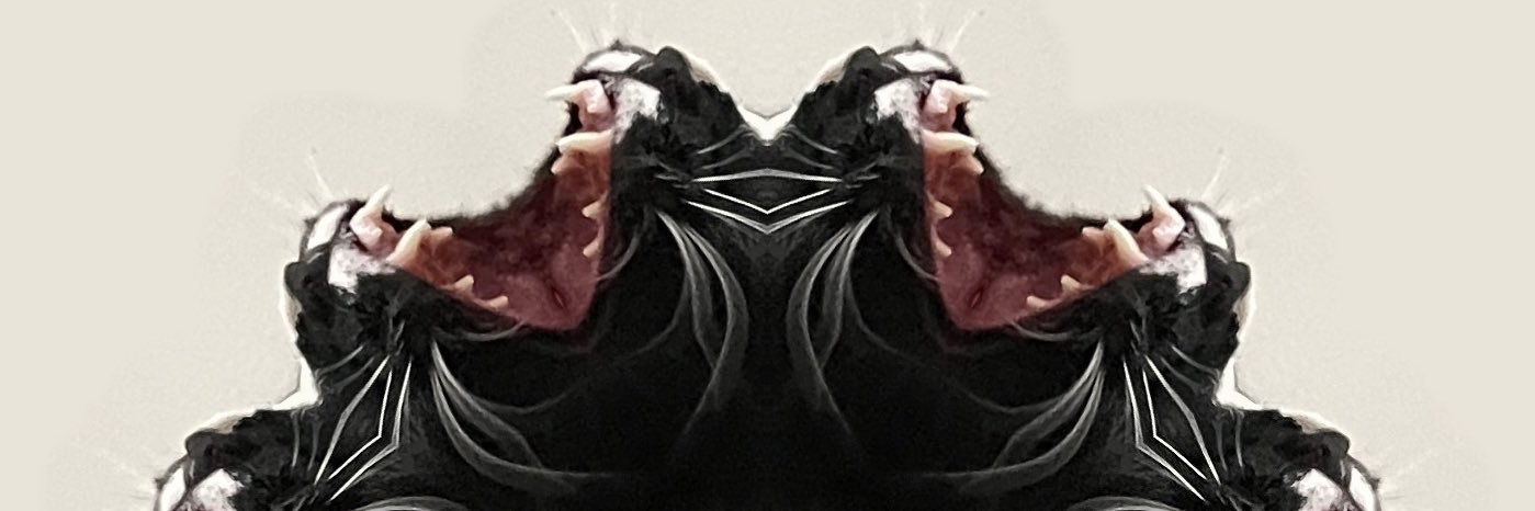 Robert Grimm banner