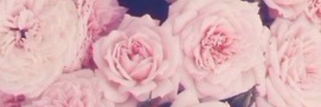 SerinaMartinez's profile banner image