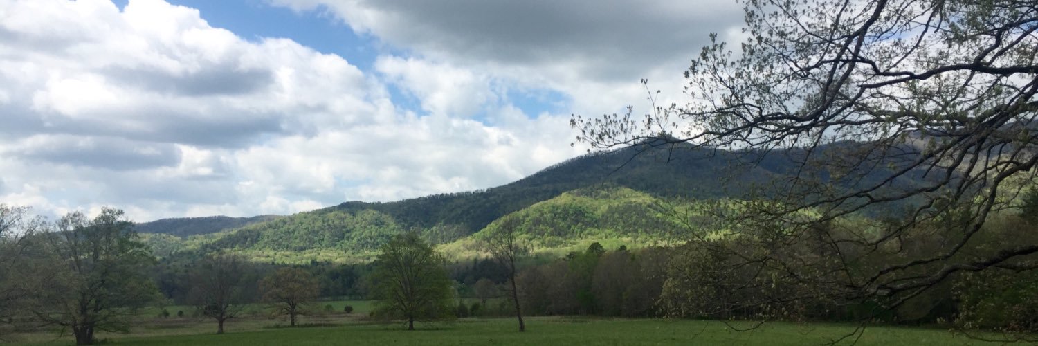 EmilyABuck's profile banner image