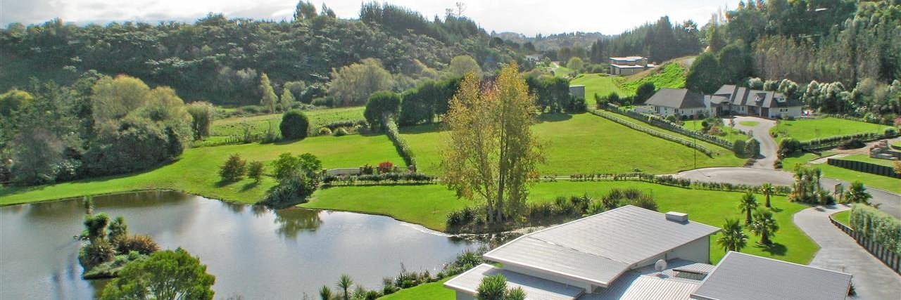 nzbecstar's profile banner image