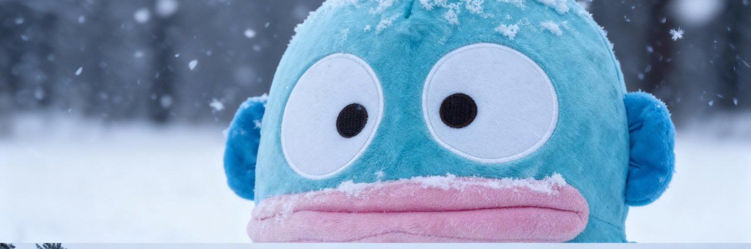 y a s banner