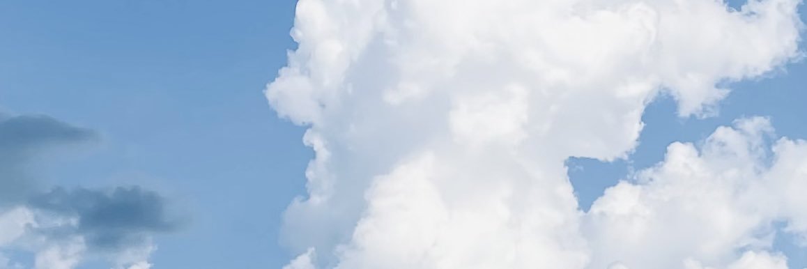 amoxin5's profile banner image