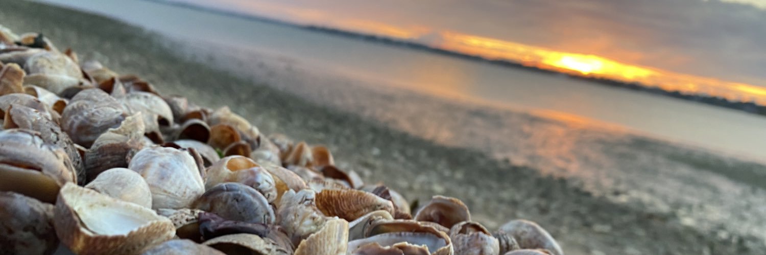 Chance Patterson banner