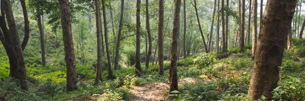 pitaarji Profile Banner