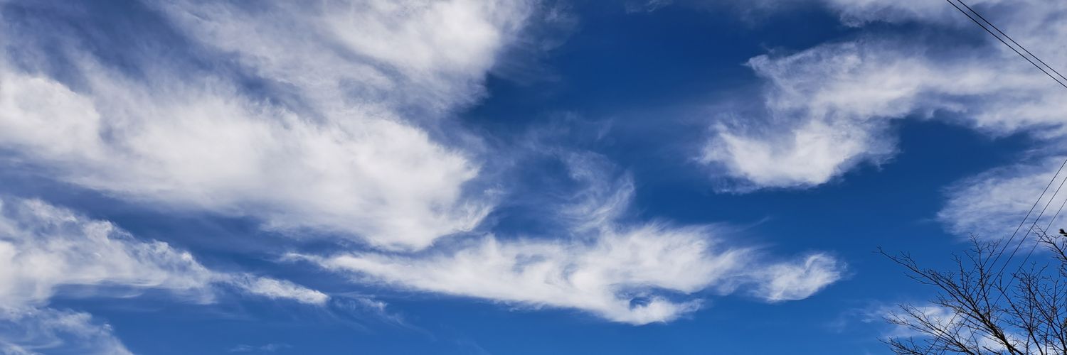 chageaskacco's profile banner image