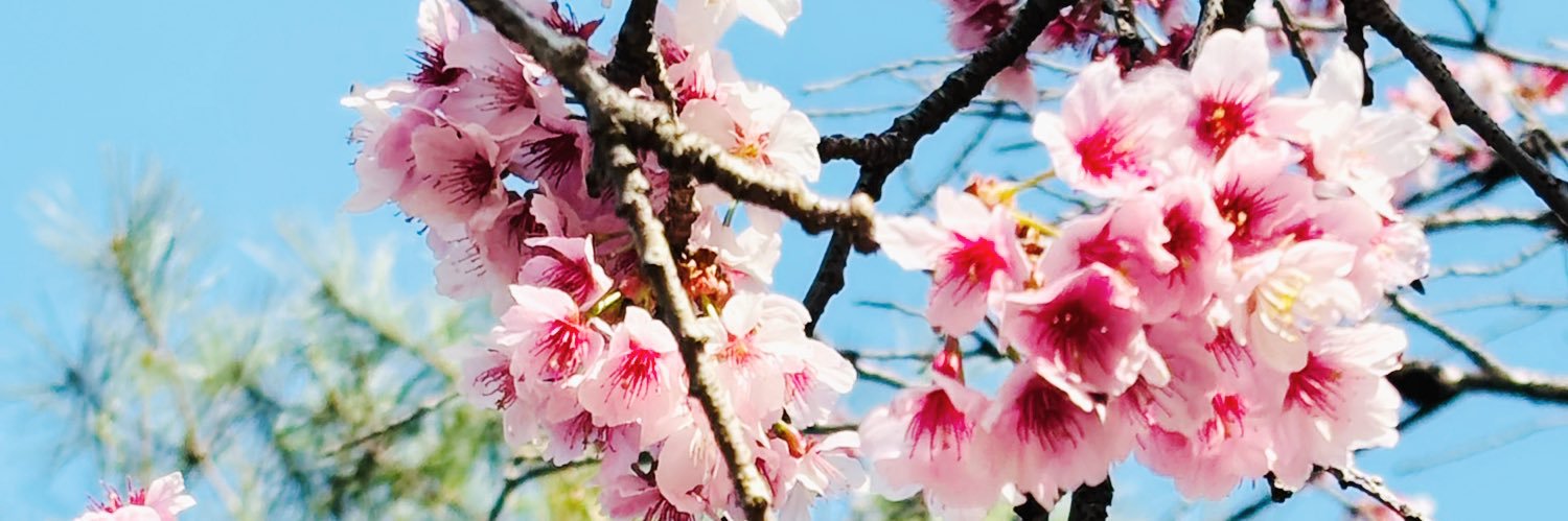 石田嘉代 banner
