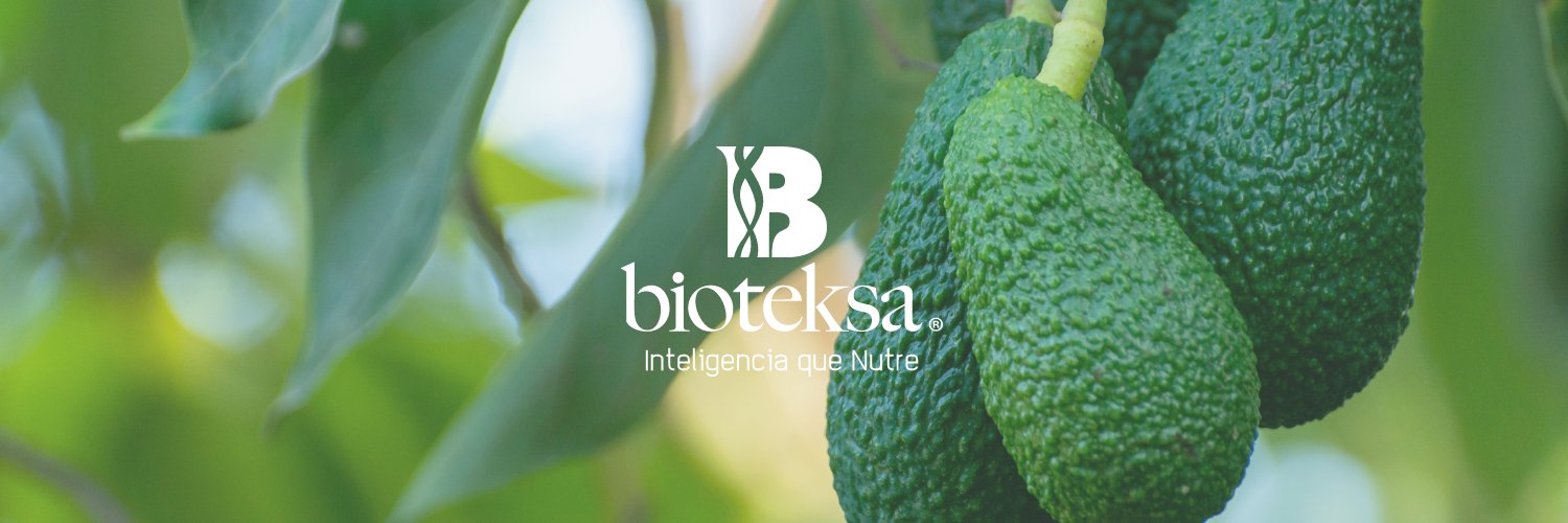 BioteksaJimenez's profile banner image