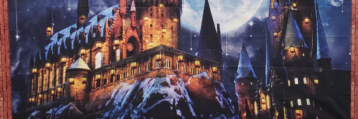 MsFrovarp3's profile banner image