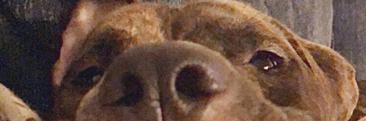 nisa_longga's profile banner image