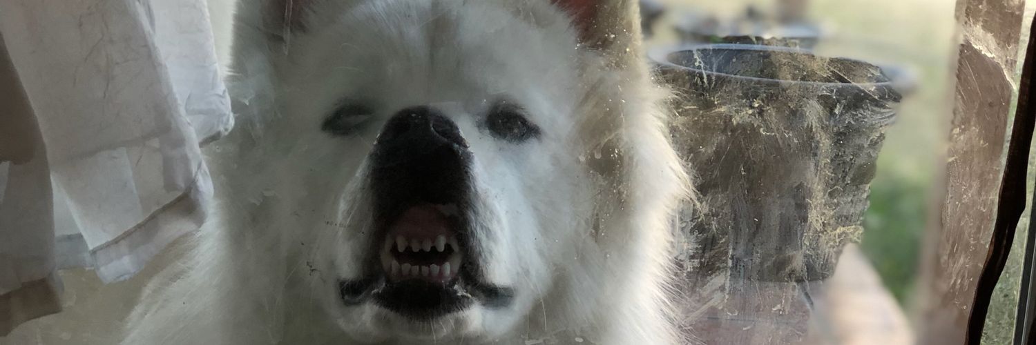 antwonbeast's profile banner image