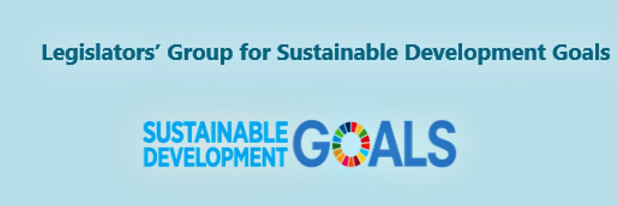 LG-SDGs banner