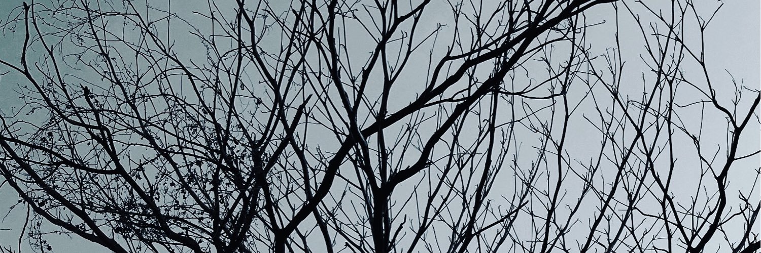 FuAlert's profile banner image