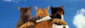 Friendly_Ankit's profile banner image