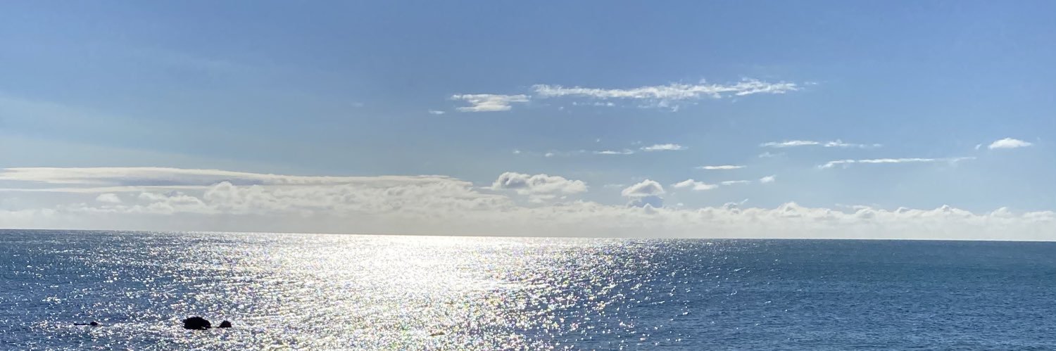essdeeiow's profile banner image