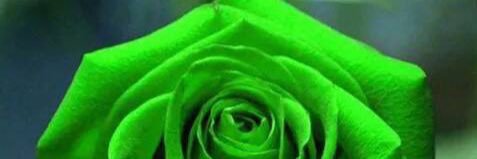 konradlock's profile banner image