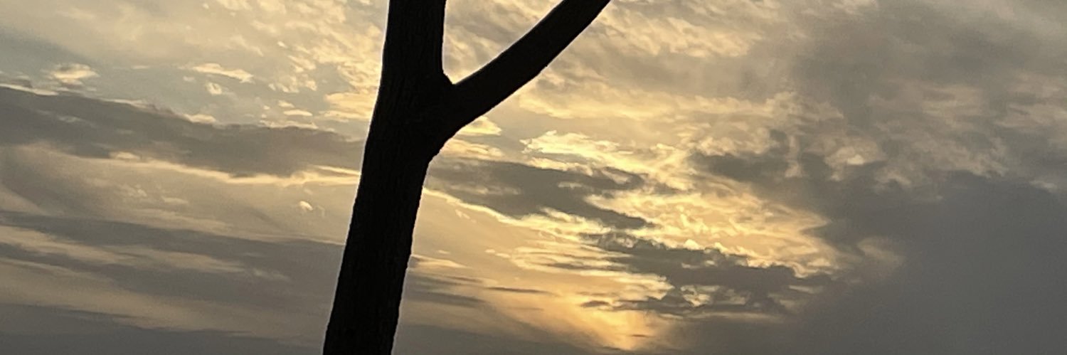 KifekAla's profile banner image