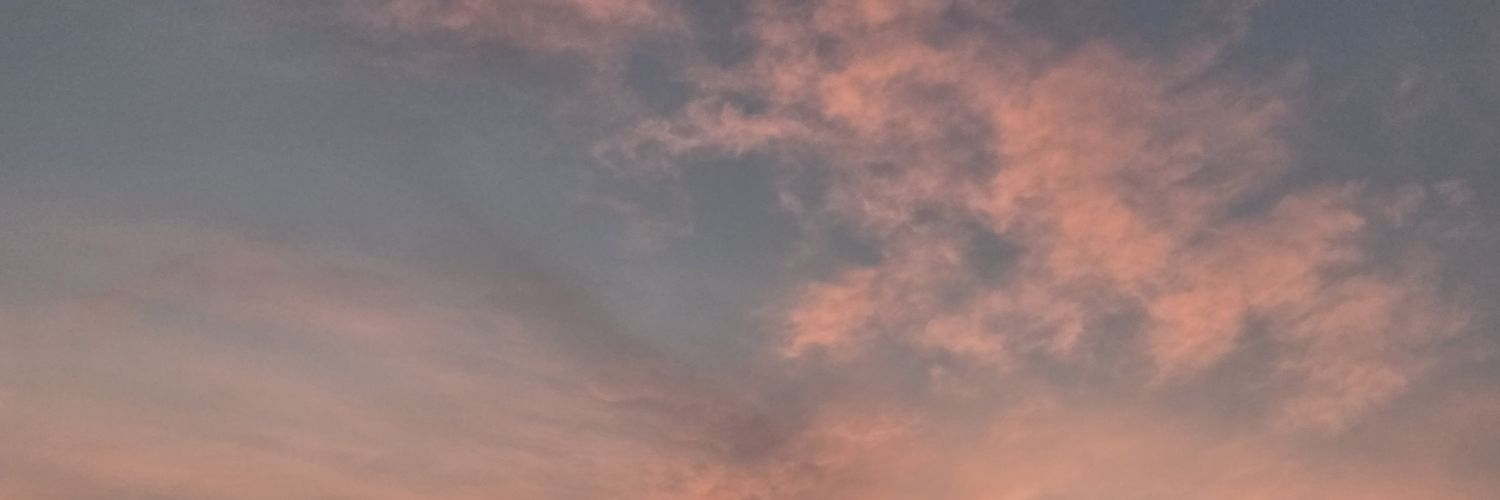 aloranotaloha's profile banner image