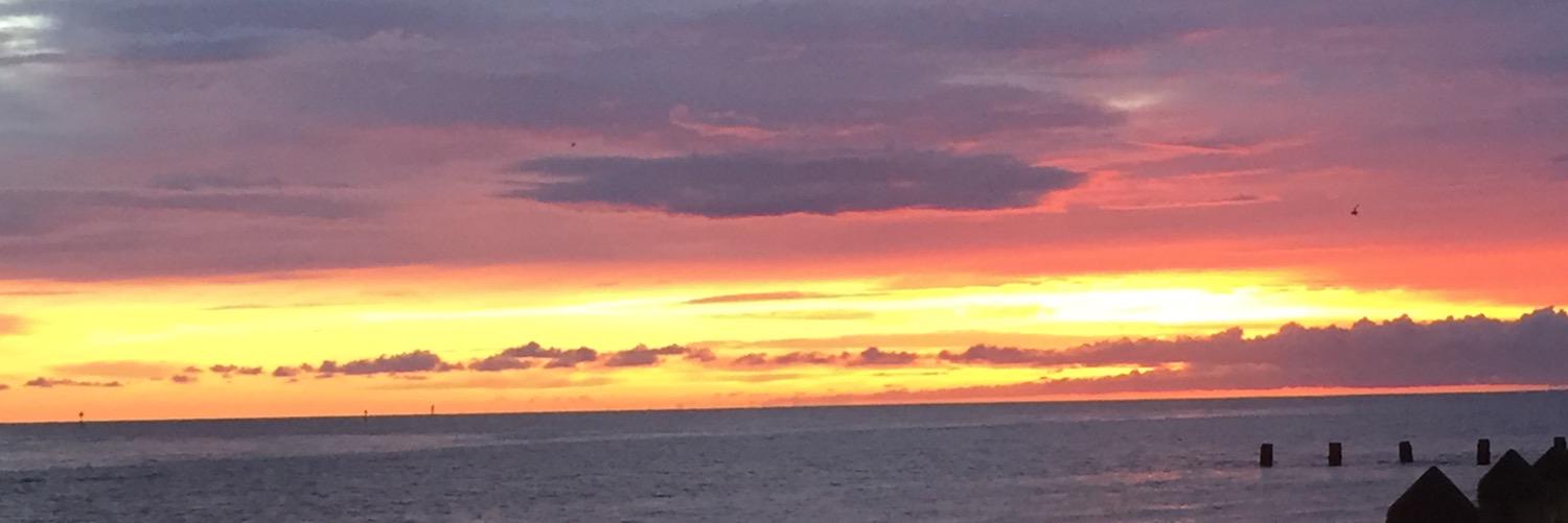 Haleyv9's profile banner image