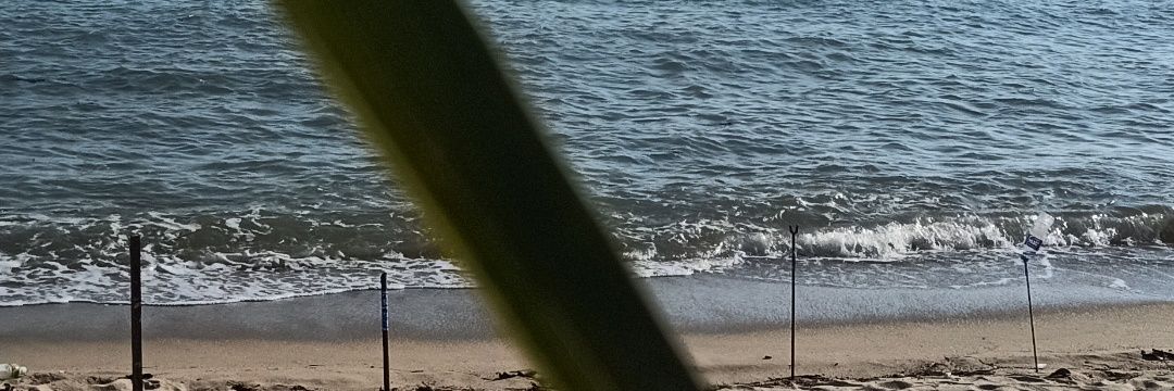 Syaz1_75's profile banner image