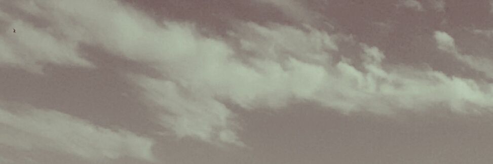 Chaital's profile banner image