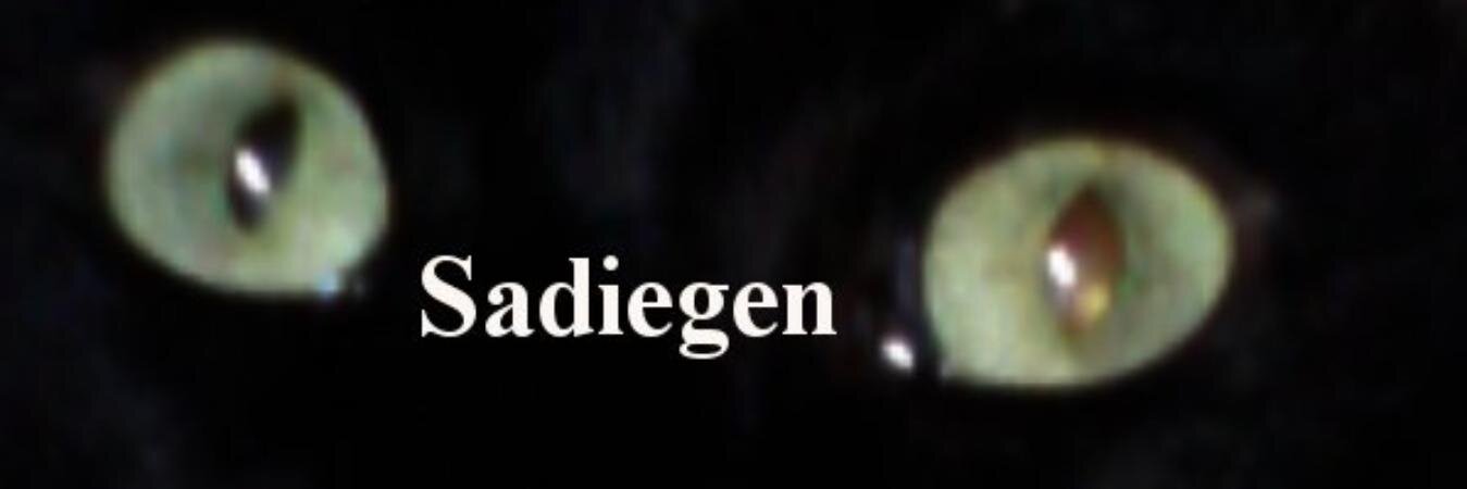 Sadiegen's profile banner image