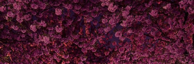 halah7's profile banner image