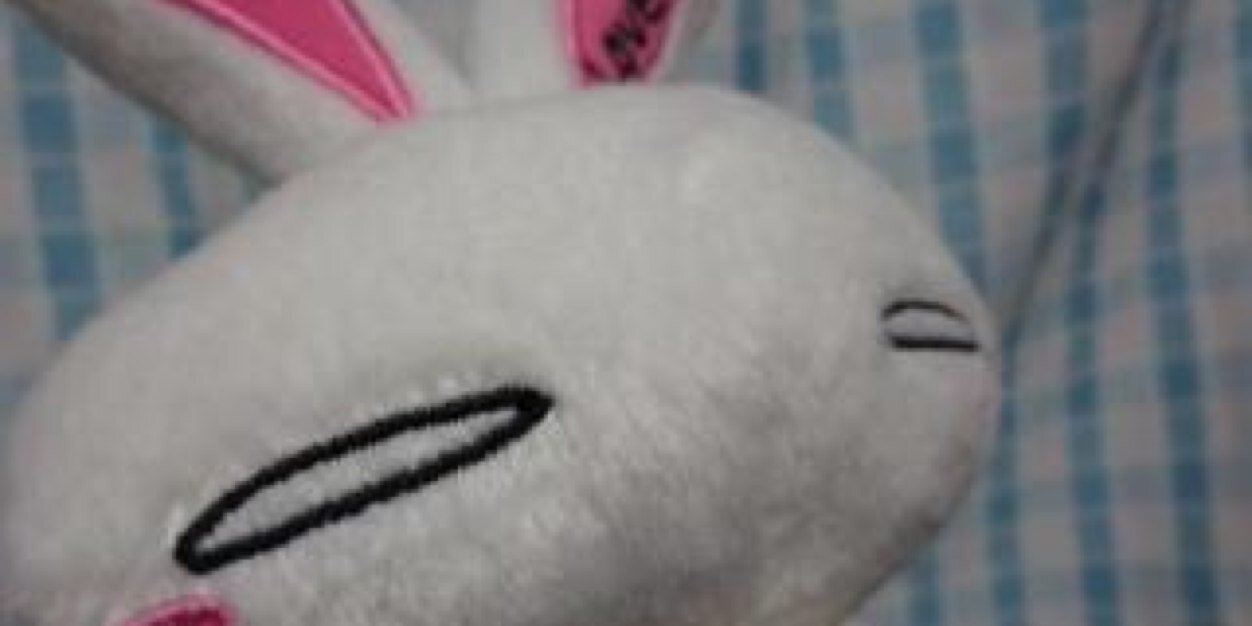 freesiakun's profile banner image