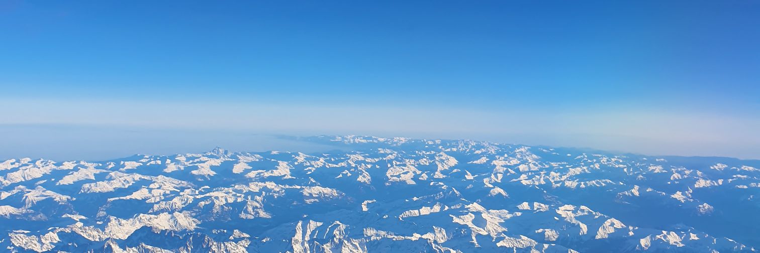 Nina Leseberg banner