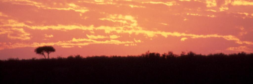 ytpr's profile banner image