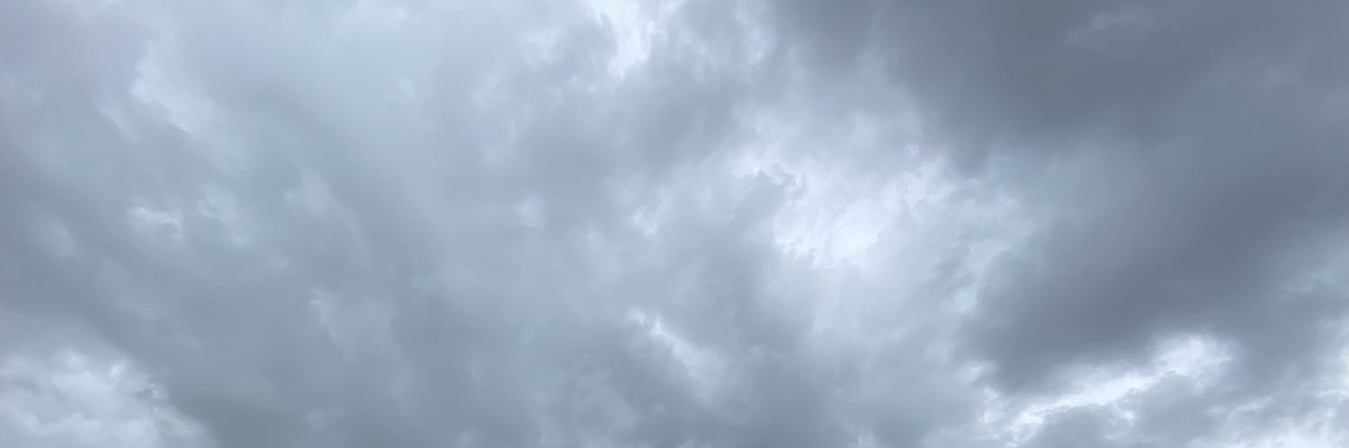 lizznawati's profile banner image