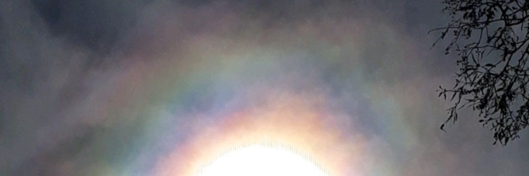 ve210973's profile banner image
