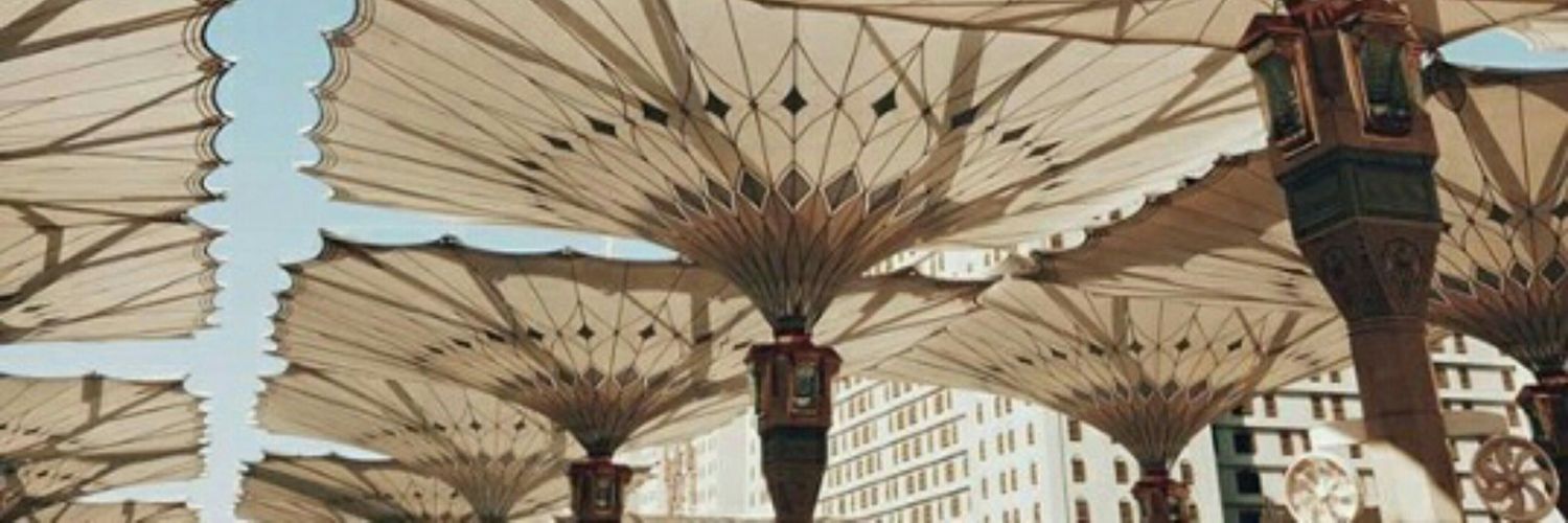 wemywildaa's profile banner image