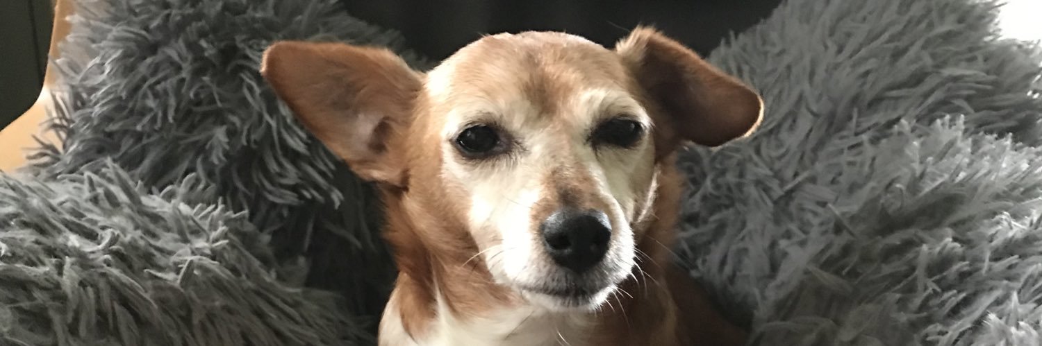 Babs باربرا banner