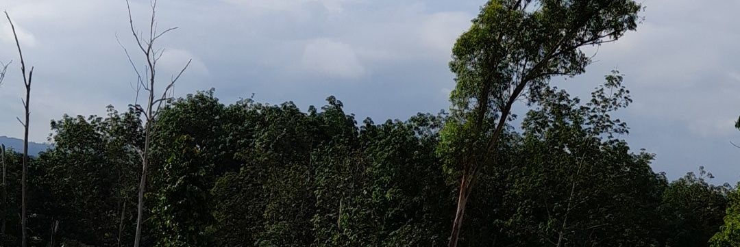 kaannahulie's profile banner image