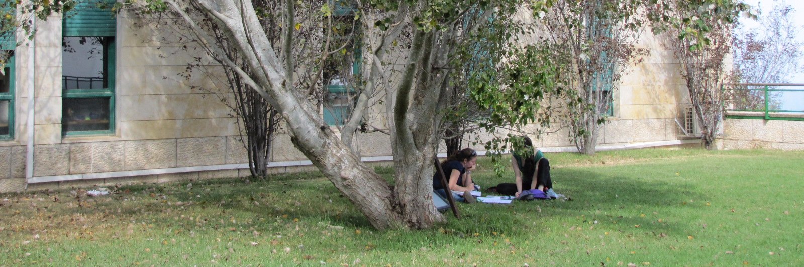 University of Haifa banner