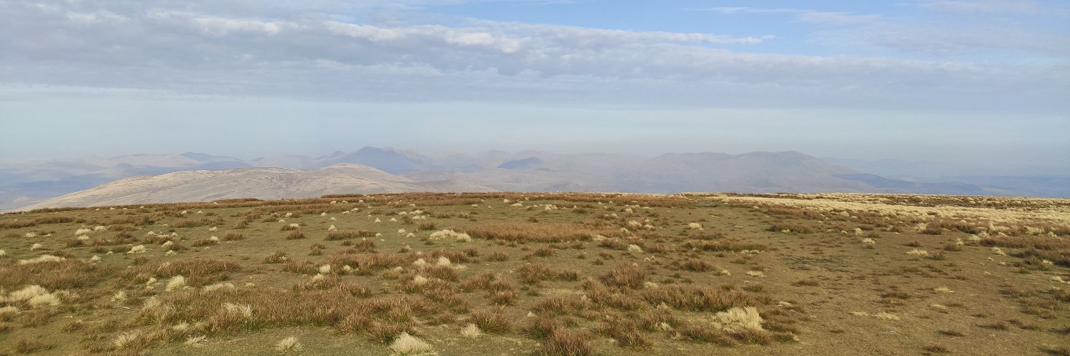 Daniel Armstrong banner