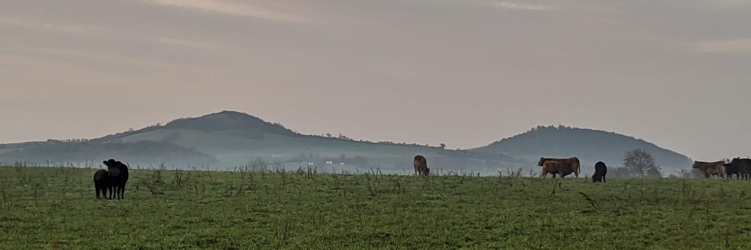 tom_millner's profile banner image