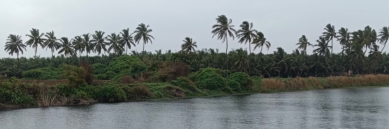 arapiit's profile banner image
