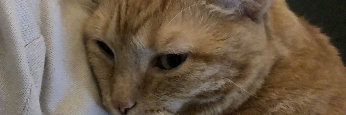paulandre18's profile banner image