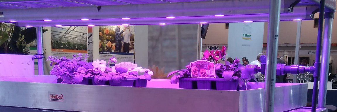 HotboxSales's profile banner image