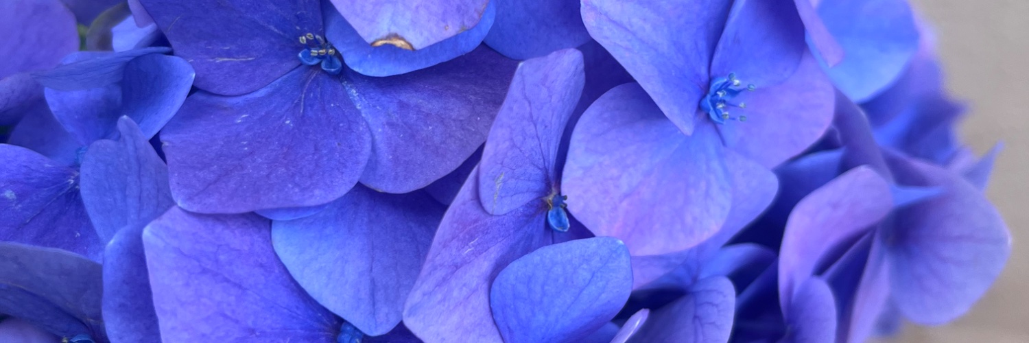 _spriyanka's profile banner image