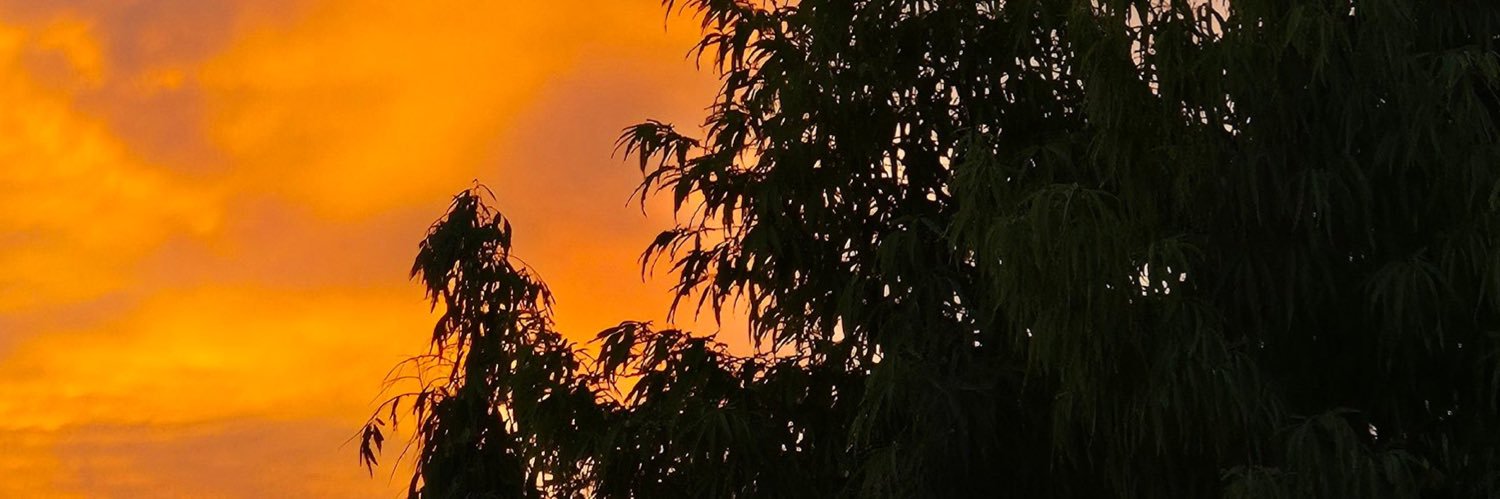 na_dosari's profile banner image