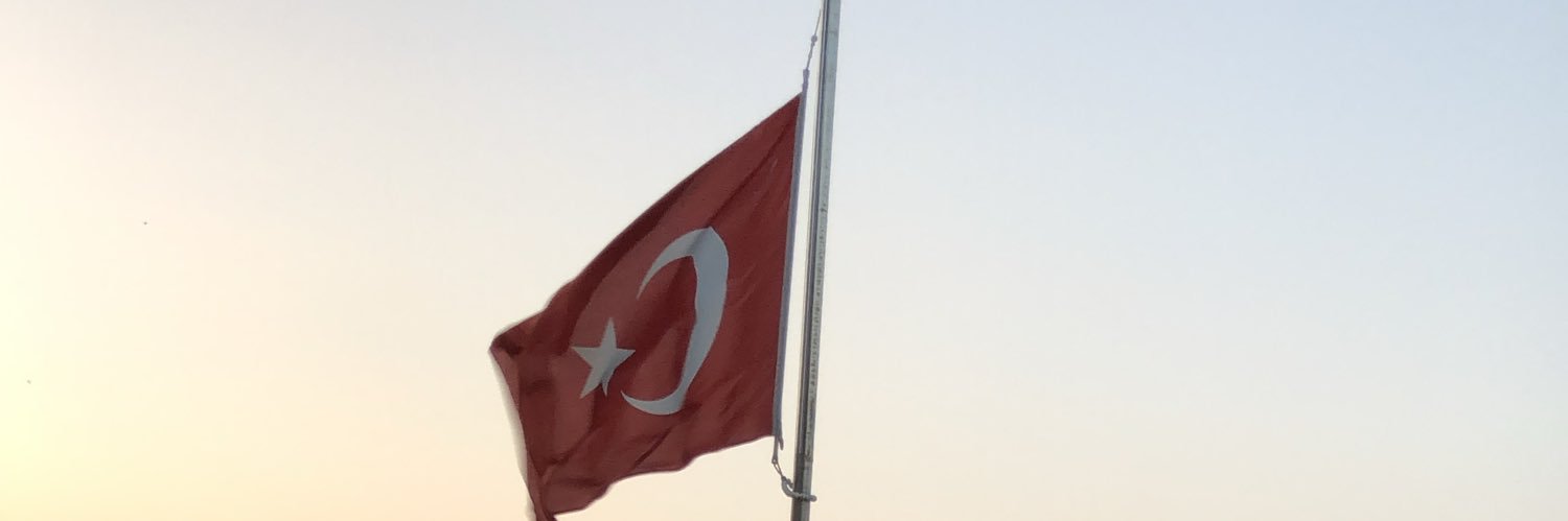 hgulguler's profile banner image