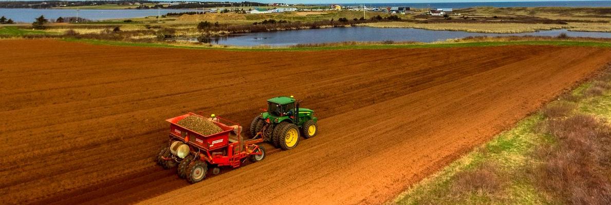 Scott Anderson banner