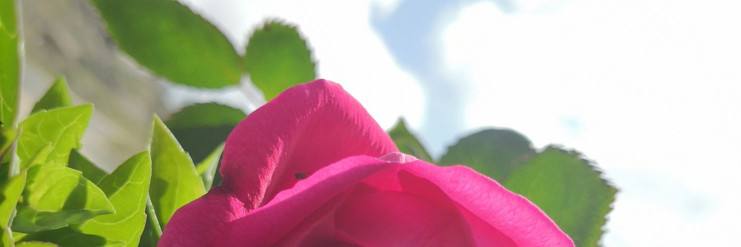 thamer9_90's profile banner image